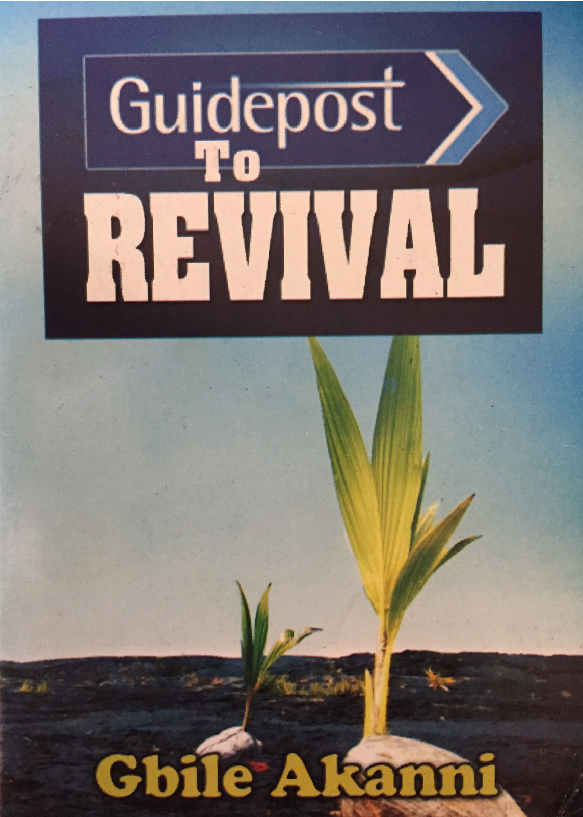Guidepost To Revival PB - Gbile Akanni